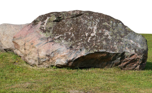istock The big ancient mossy granite stone lie  on a forest green grass glade. 921684220