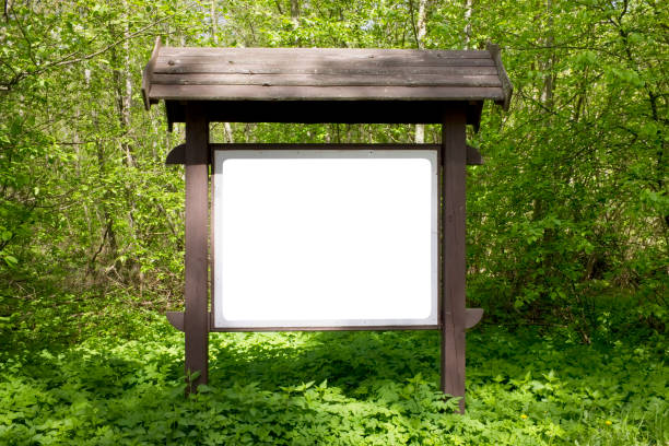 on the spring forest  glade there is a wooden billboard with information. stock photo