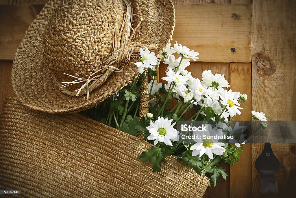 Margaridas de verão na bolsa/bordas escuras - Foto de stock de Cesto royalty-free