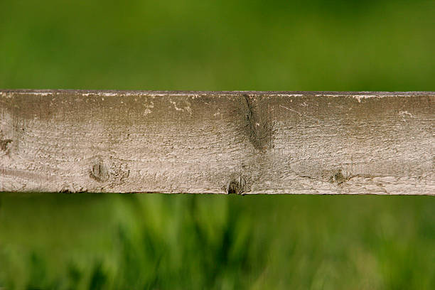 Fence Plank stock photo