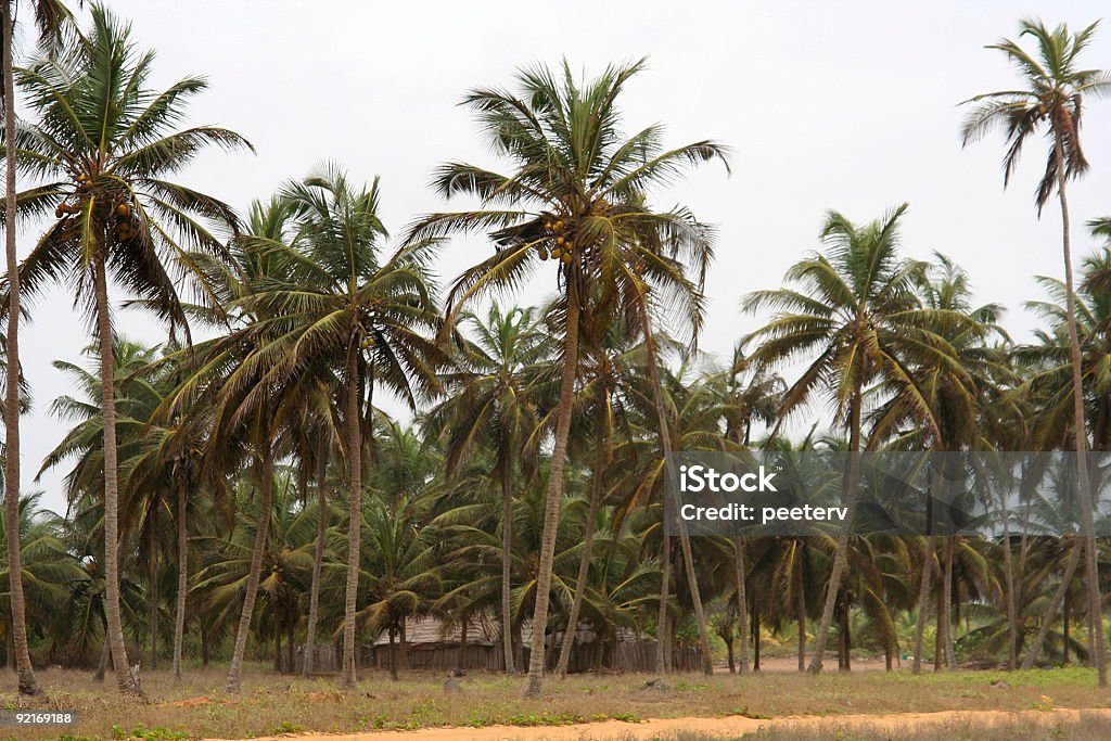 Pescadores casas na costa da África - Royalty-free Admirar a Vista Foto de stock