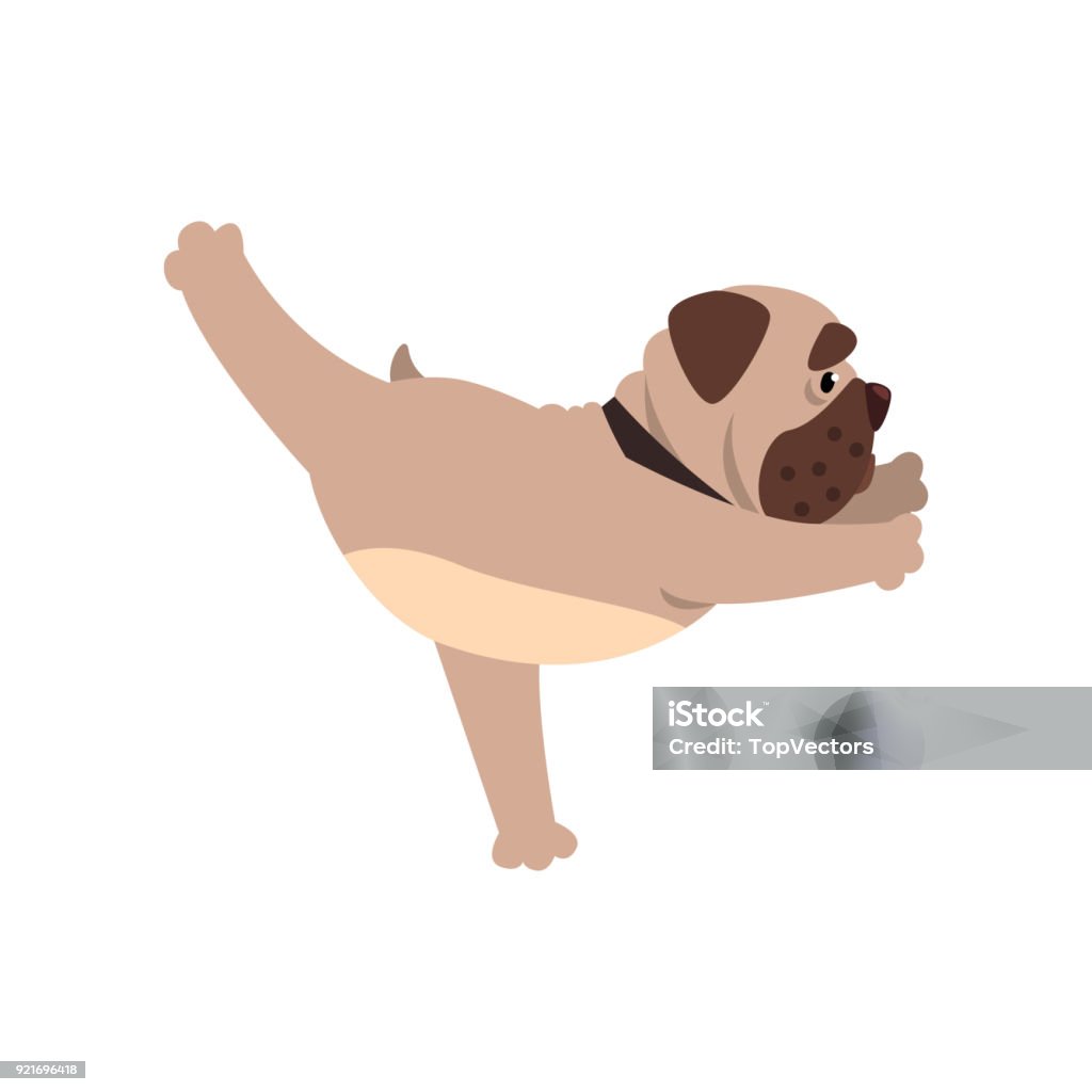 Franse bulldog staande in Warrior drie oefenen, grappige hond praktizerende yoga cartoon vector illustratie op een witte achtergrond - Royalty-free Bruin vectorkunst
