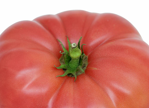 gros plan de tomates - tomato beefsteak tomato heirloom tomato pink photos et images de collection