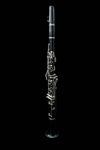 istock Full view of a clarinet standing 921700572