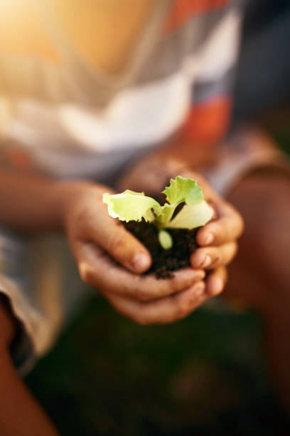 istock Nature has much to teach us all 921702650
