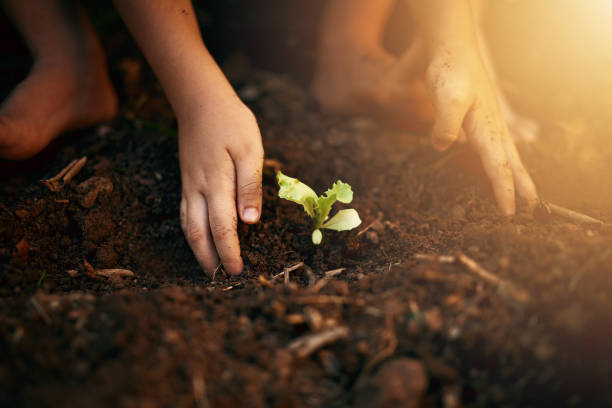 Little green fingers