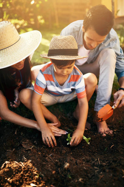 istock more than a seed is planted in a garden 921702670