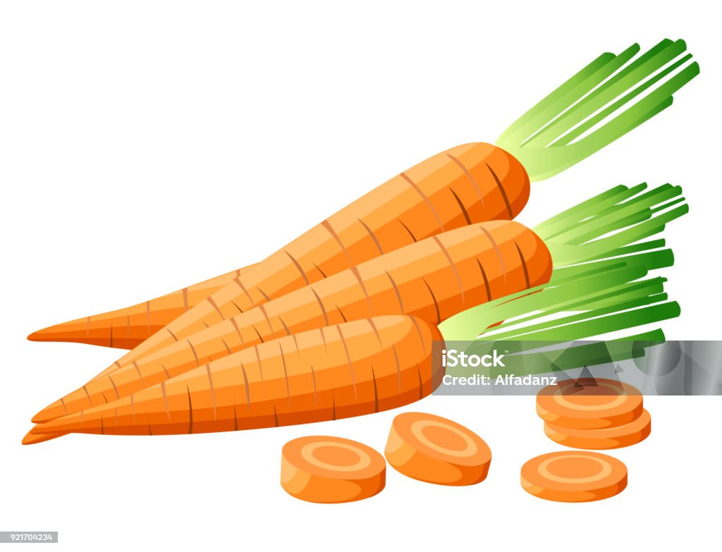 Vector illustration of carrot with tops. Sliced carrots. Pieces of carrots. Carrots with leaves and carrot slices. Web site page and mobile app design Detailed vegetarian food sketch. Vector illustration of carrot with tops. Sliced carrots. Pieces of carrots. Carrots with leaves and carrot slices. Web site page and mobile app design Detailed vegetarian food sketch Carrot stock vector
