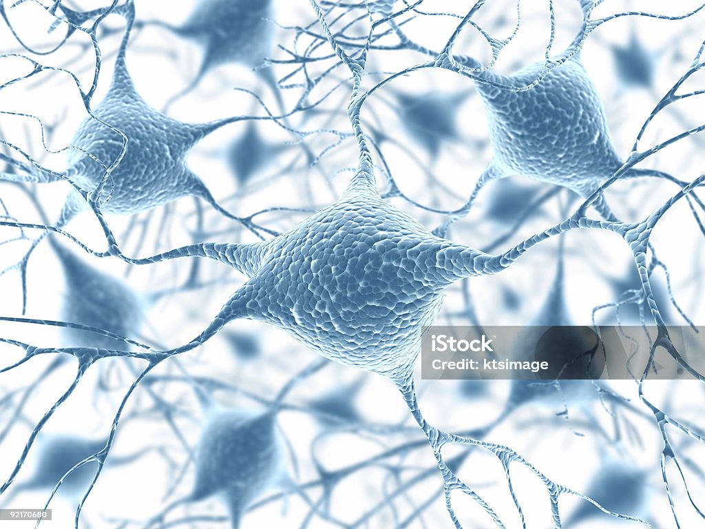 Neurons  Axon Terminal Stock Photo