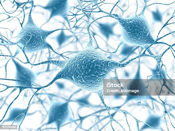 Neurons Stock Photo - Download Image Now - Axon Terminal, Cell Structure, Color Image
