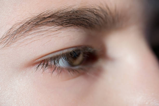 istock Close-up of brown eye with lashes 921709254
