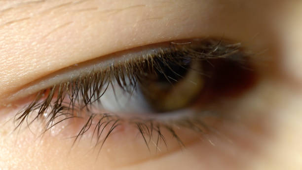 istock Close-up of brown eye with lashes 921709710