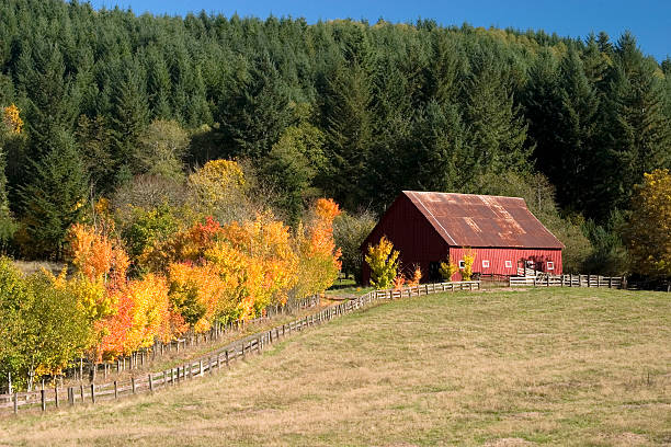 istock Rural Autumn Landscape 92171158