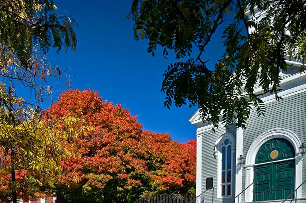 Photo of Colors of autumn. Concord, MA