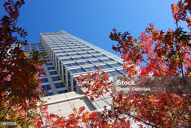 Follaje Otoñal Y Mirando Hacia Arriba Del Edificio Foto de stock y más banco de imágenes de Aire libre - Aire libre, Alto - Descripción física, Amarillo - Color