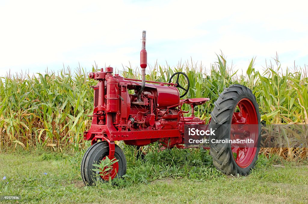 Rouge Antique tracteur et de maïs - Photo de Tracteur libre de droits