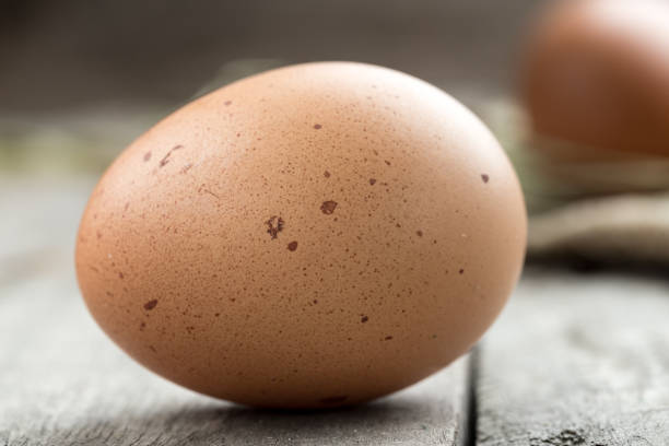 istock fresh brown chicken egg on a wooden background 921715680