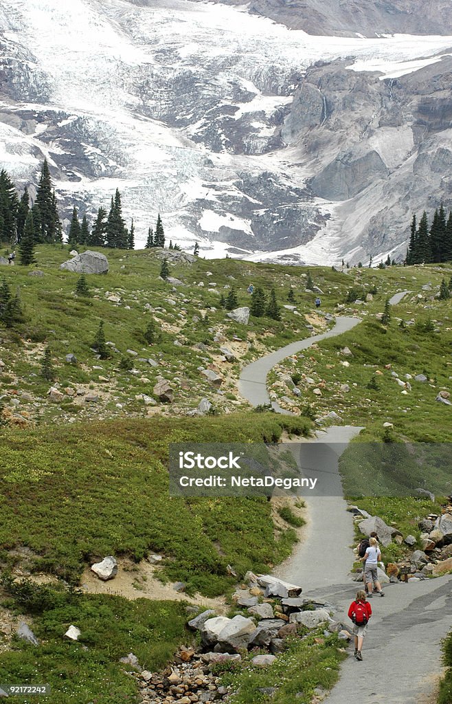 Excursionismo en Mount Rainier - Foto de stock de Excursionismo libre de derechos