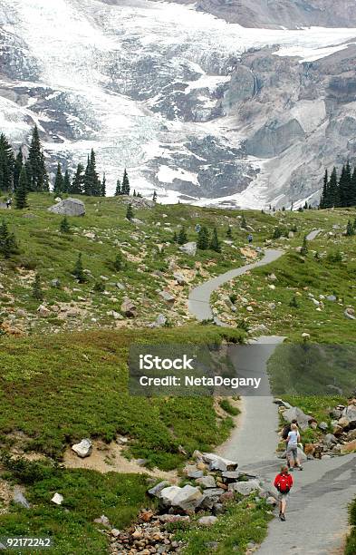 Excursionismo En Mount Rainier Foto de stock y más banco de imágenes de Excursionismo - Excursionismo, Monte Rainier, Parque Nacional de las Cascadas del Norte