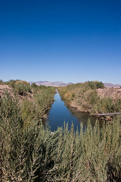 istock Irrigation Ditch to The Desert 92172622
