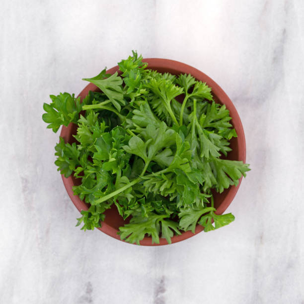 istock Chopped curly parsley sprigs in a bowl 921726420