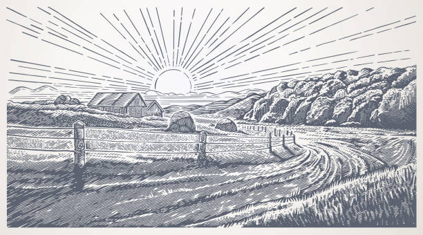 Rural landscape in engraving style vector art illustration