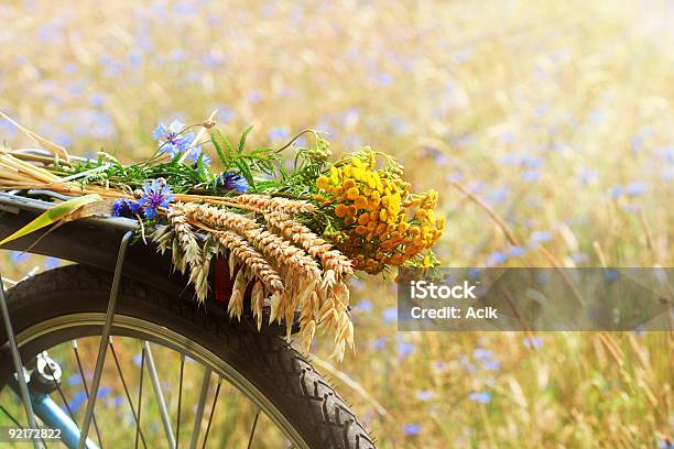 Summer Flowers And Grains On The Back Of A Blue Bicycle Stock Photo - Download Image Now