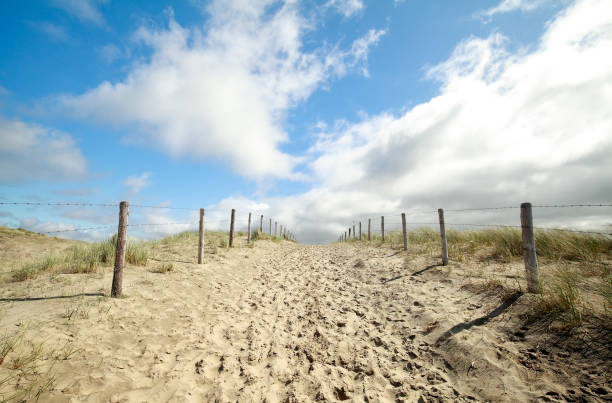 istock path on sand and blue sky on sunny day 921732310
