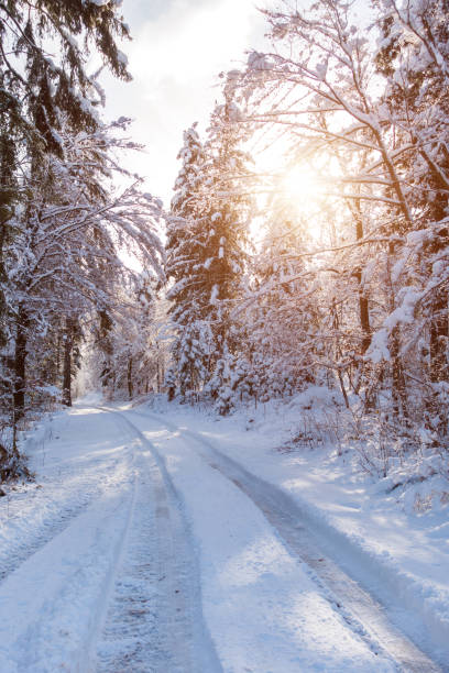 istock Road Amidst Trees Against Sky During Winter 921732474