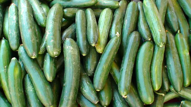 display of cucumber on a market