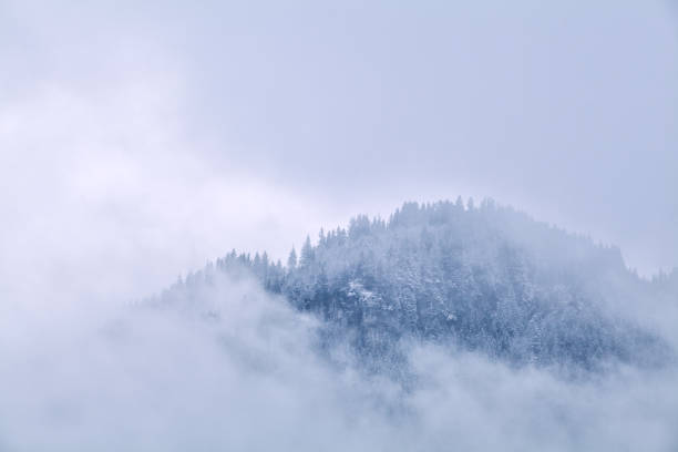 istock mountains top in winter fog, Germany 921733008