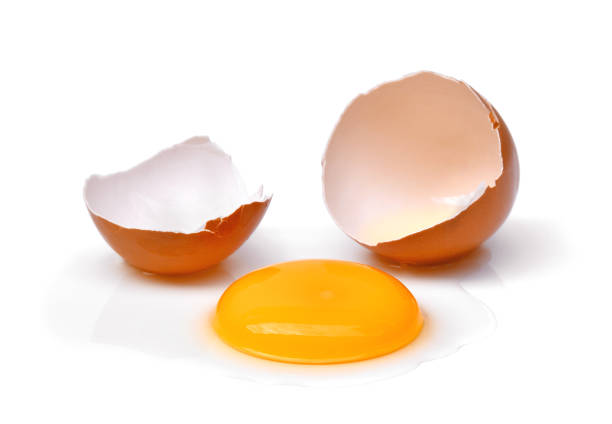 pęknięte jajko z skorupką jaja, żółtkiem i białkiem jaja wyizolowane na białym tle - eggs animal egg cracked egg yolk zdjęcia i obrazy z banku zdjęć