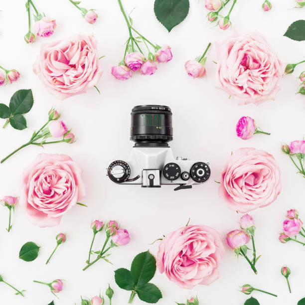 istock Round frame with pink roses and Old camera on white background. Flat lay, top view. 921736130