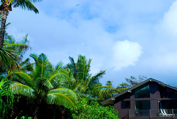 A vibrant tropical forest on Siquijor Island, Philippines, featuring tall coconut palms and dense greenery under a bright sky, evoking a paradisiacal and serene atmosphere of nature's splendor.