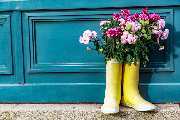 istock flower bouquet posed on plastic boots in front of a door 921737504