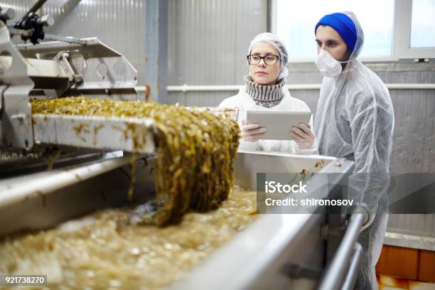 Food Production Control Stock Photo - Download Image Now - Food Processing Plant, Food, Seafood