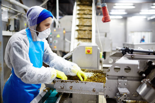 istock Working in seafood factory 921738272