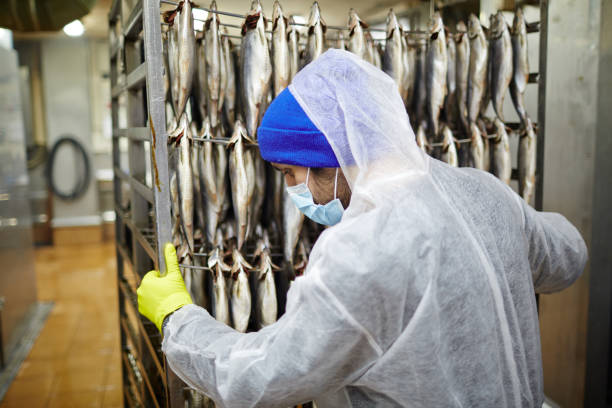 istock Taking fish to smoke department 921738306