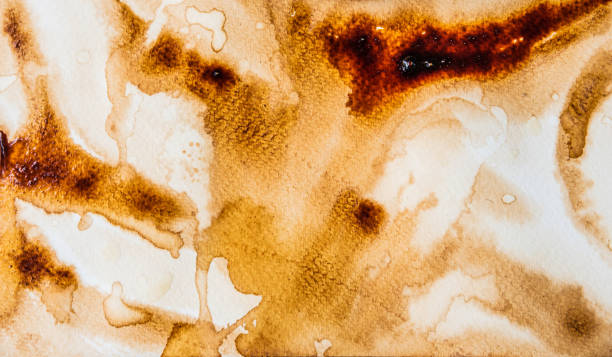istock abstract watercolor backgrounds by use coffee painted on paper 921742906