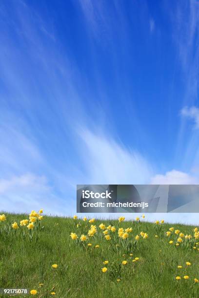 Grün Gelb Und Blau Stockfoto und mehr Bilder von Feld - Feld, Narzisse, Agrarbetrieb