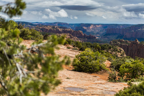 istock Scenic View Of Landscape Against Cloudy Sky 921751260