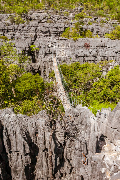istock The Tsingy of Ankarana 921753824