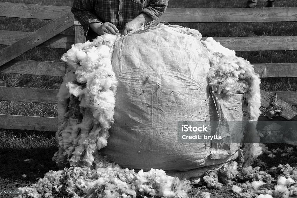Сумка Big bag - Стоковые фото Стричь овец роялти-фри