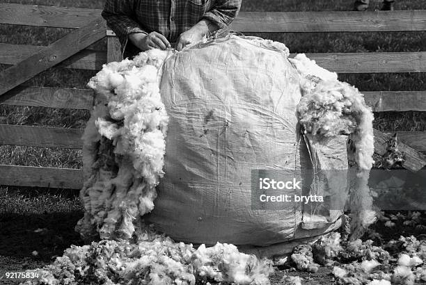 Сумка Big Bag — стоковые фотографии и другие картинки Стричь овец - Стричь овец, Шерсть, Без людей