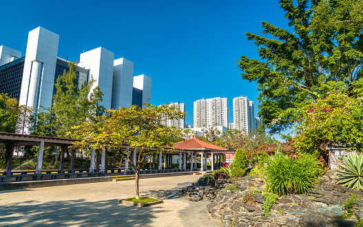 Sha Tin Central Park in Hong Kong - China