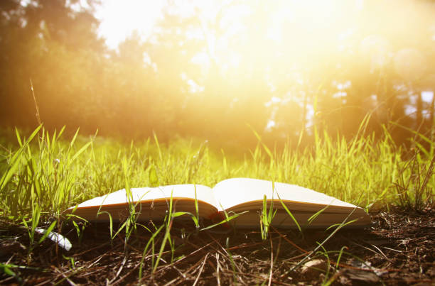 istock open old book over green spring grass in forest at sun light. 921758544
