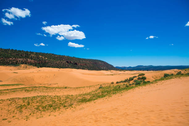 istock Scenic View Of Desert Against Blue Sky 921758728