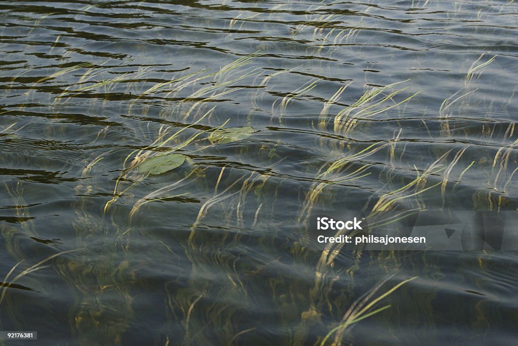 Increíble de agua - Foto de stock de Color - Tipo de imagen libre de derechos