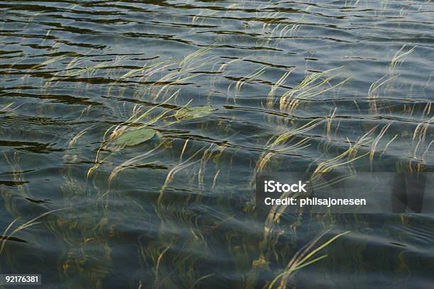 Increíble De Agua Foto de stock y más banco de imágenes de Color - Tipo de imagen - Color - Tipo de imagen, Fotografía - Imágenes, Horizontal