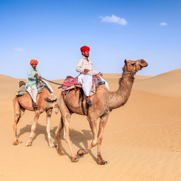 istock Indian men riding camels on sand dunes, Rajasthan, India 921765250